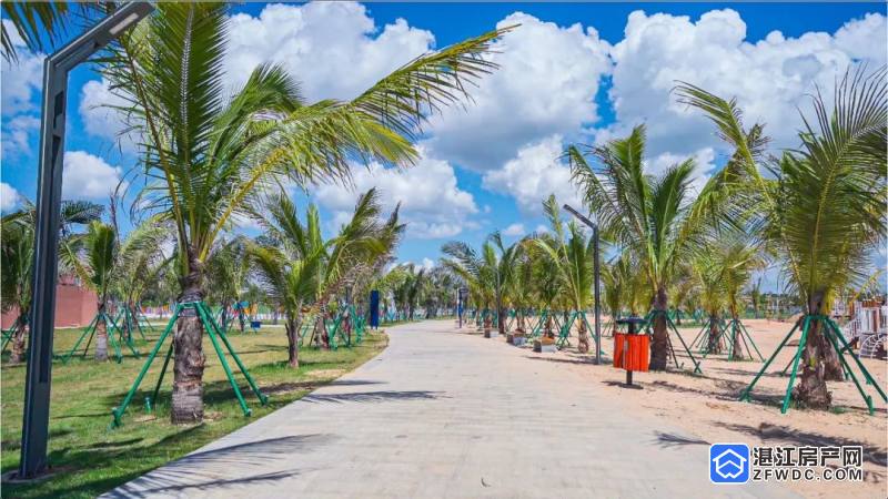 怡海公园随手拍摄影大赛圆满结束,前三作品新鲜出炉!-湛江房产网